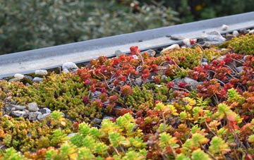 the cost of Hedsor green roof installation