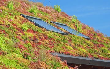 Hedsor living roof systems