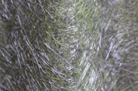 Hedsor fibreglass roof work